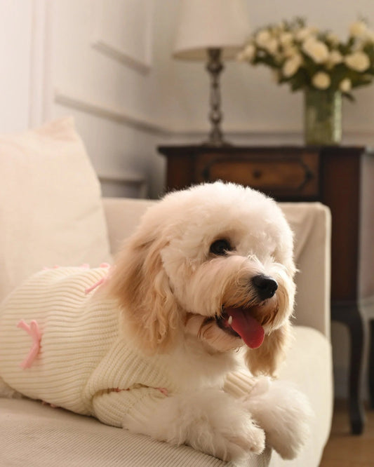 Pink Bow-3D Motif Pet Sweater