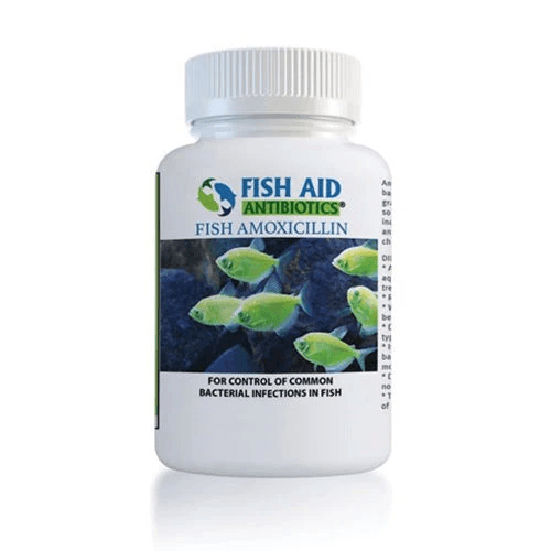 Fish Mox 500mg Capsules