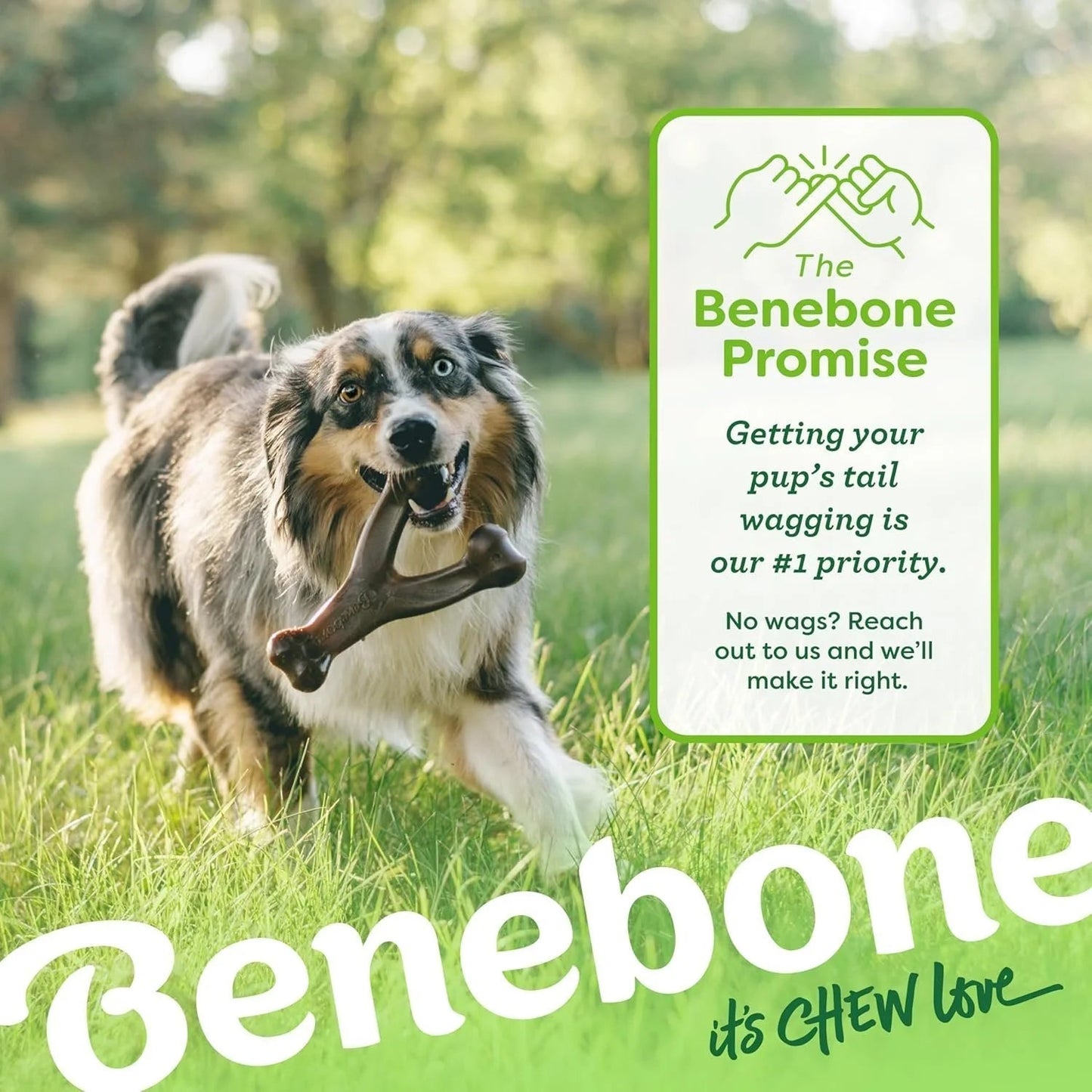 Benebone Wishbone Durable Toy ForDogs, For Heavy Chewers, Bacon Flavor