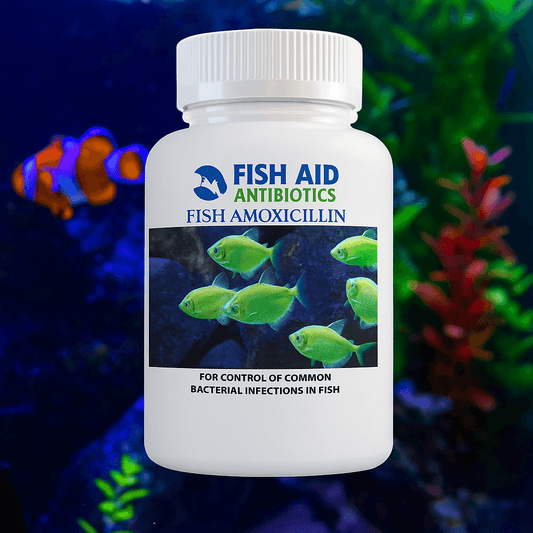 Fish Mox 500mg Capsules