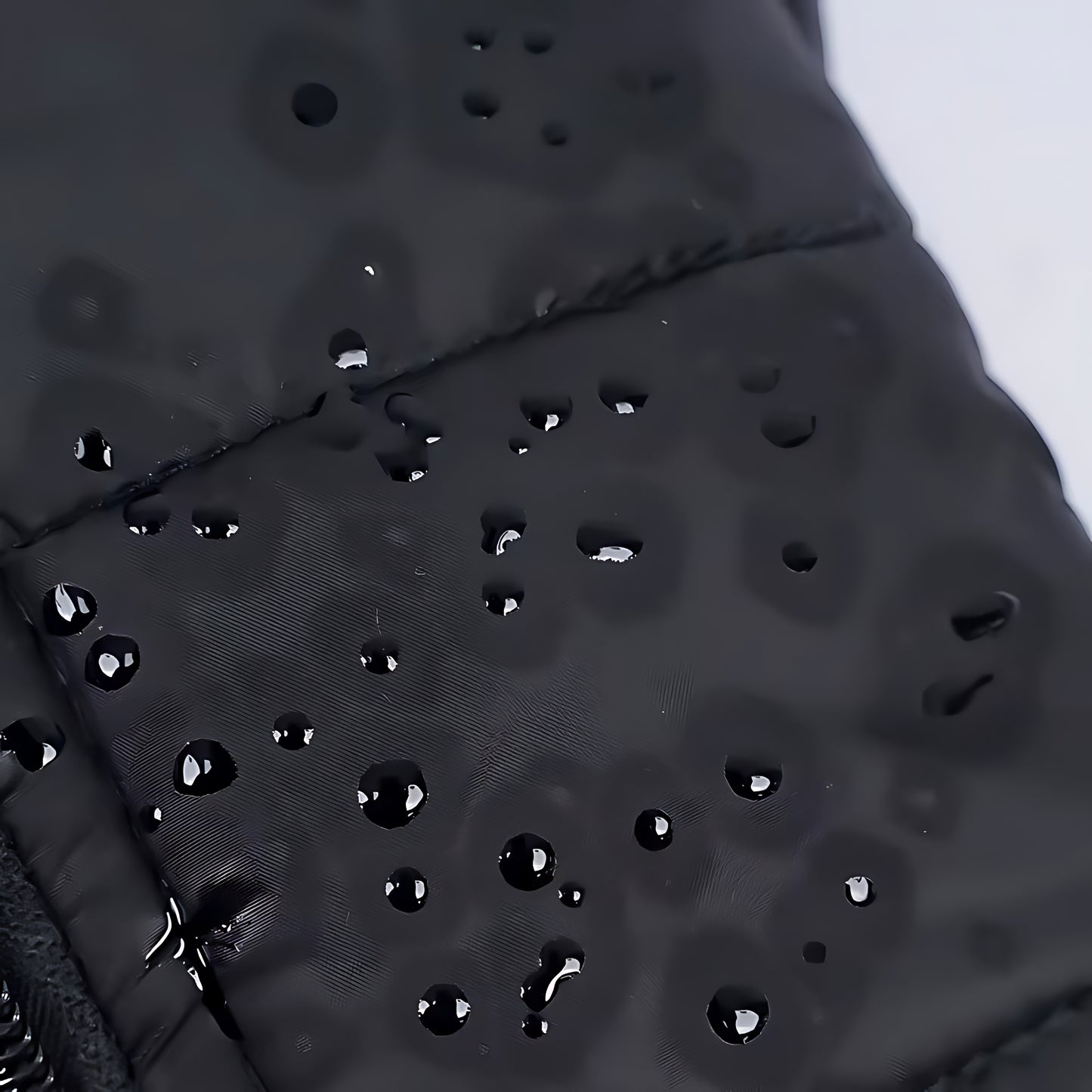 Waterproof Dog Winter Jacket – Warm Padded Coat with Zipper