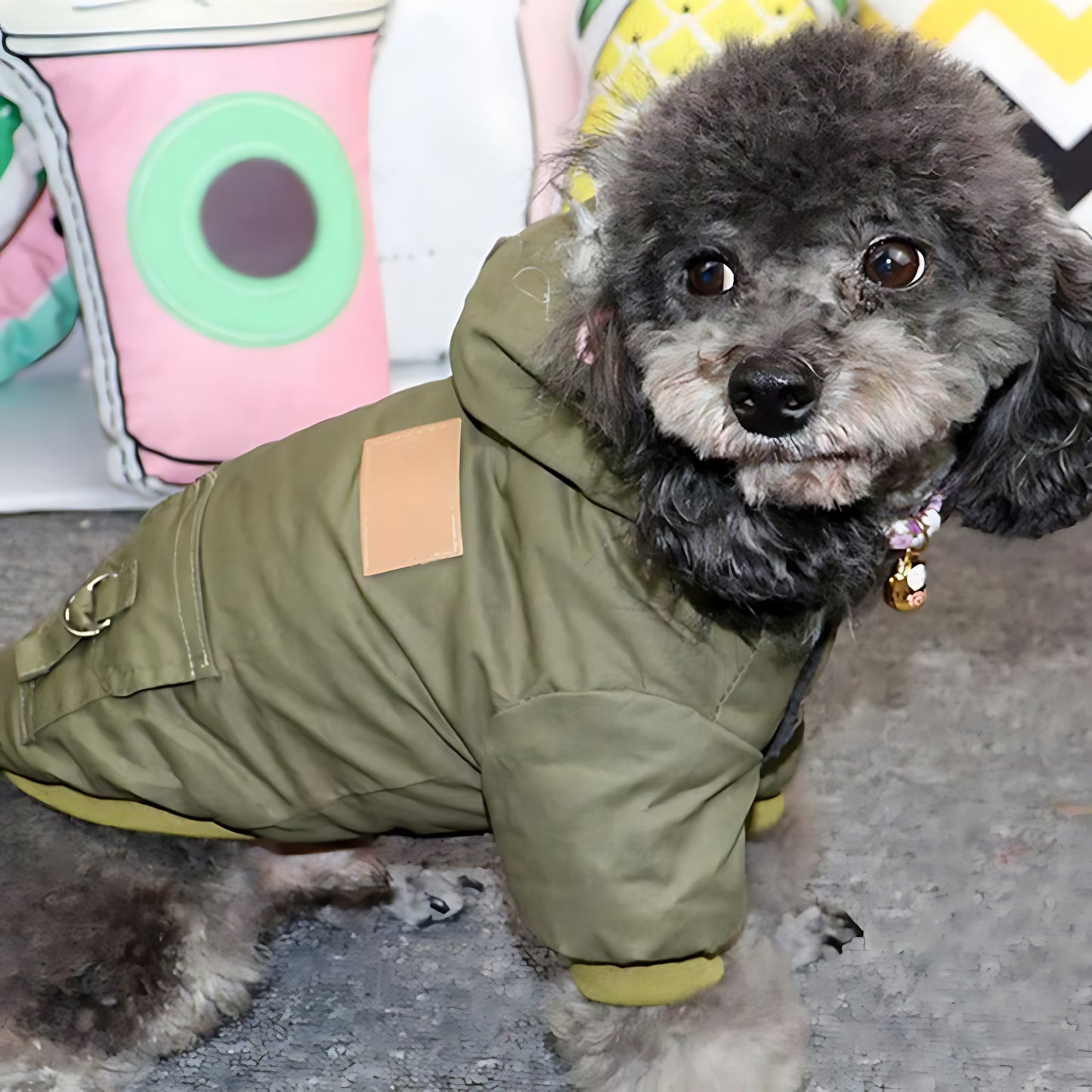 Winter Dog Hoodie Coat – Soft Warm Jacket for Small & Medium Dogs